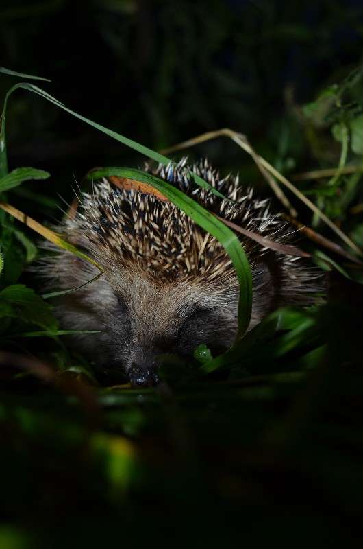 ... ����� ���� ���������� �� PhotoGeek.ru #�������� ��� #����� ��� ��� ���������