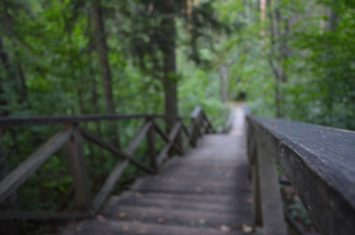 ... ����� ���� ���������� �� PhotoGeek.ru #�������� ����������