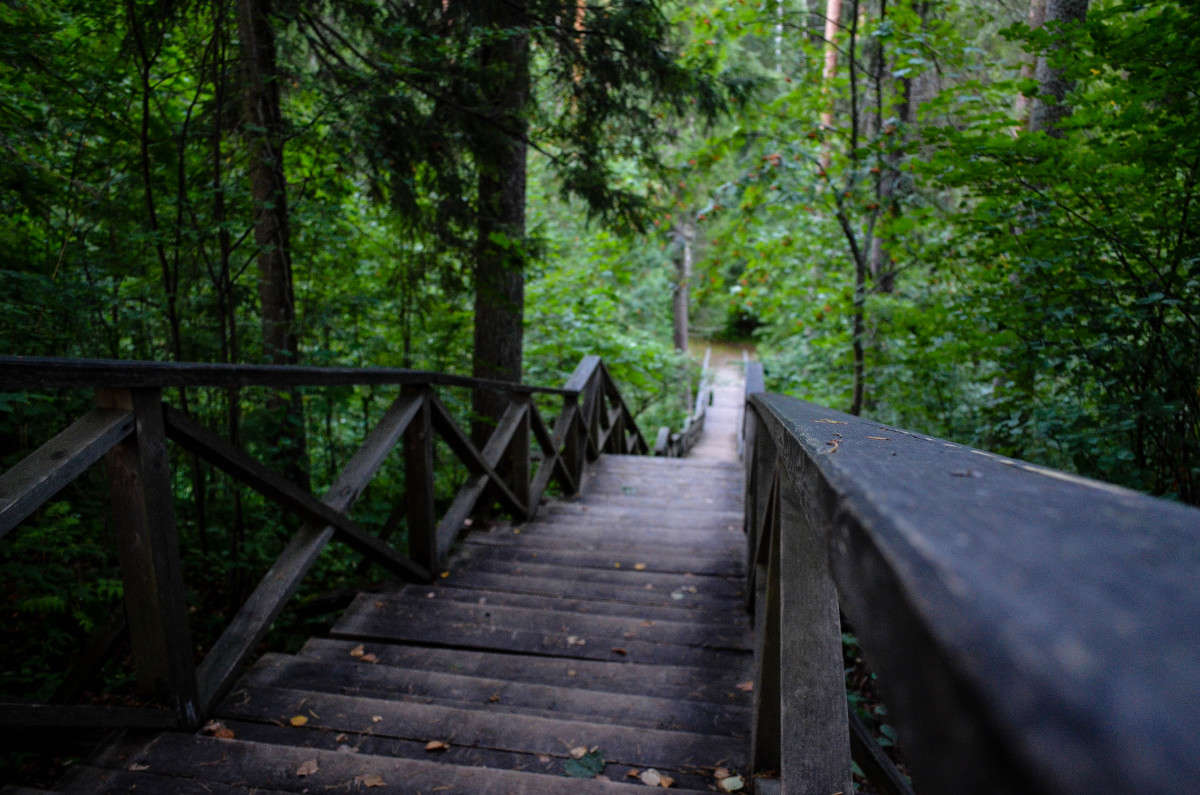 �� ��������� ����� ���� ���������� �� PhotoGeek.ru #������ ��� �������