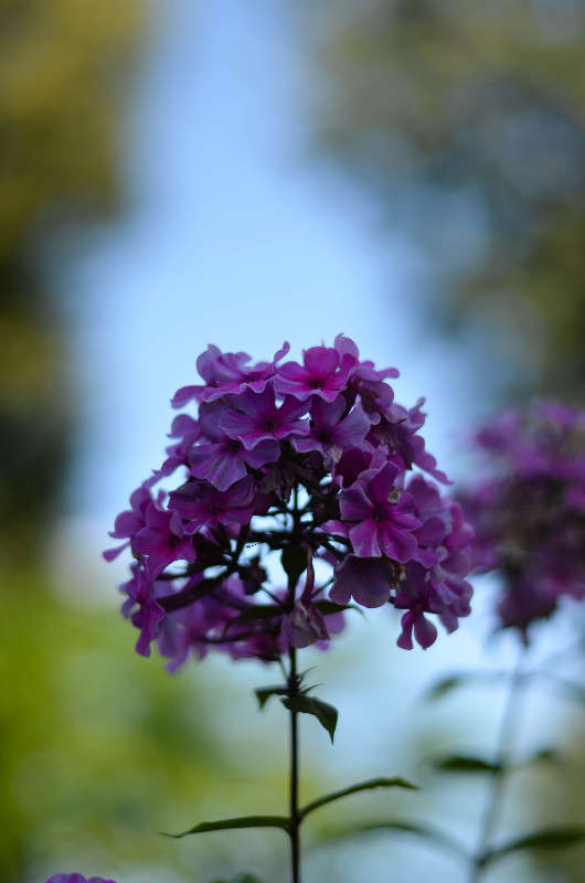 ... ����� ���� ���������� �� PhotoGeek.ru #������ ��� �������