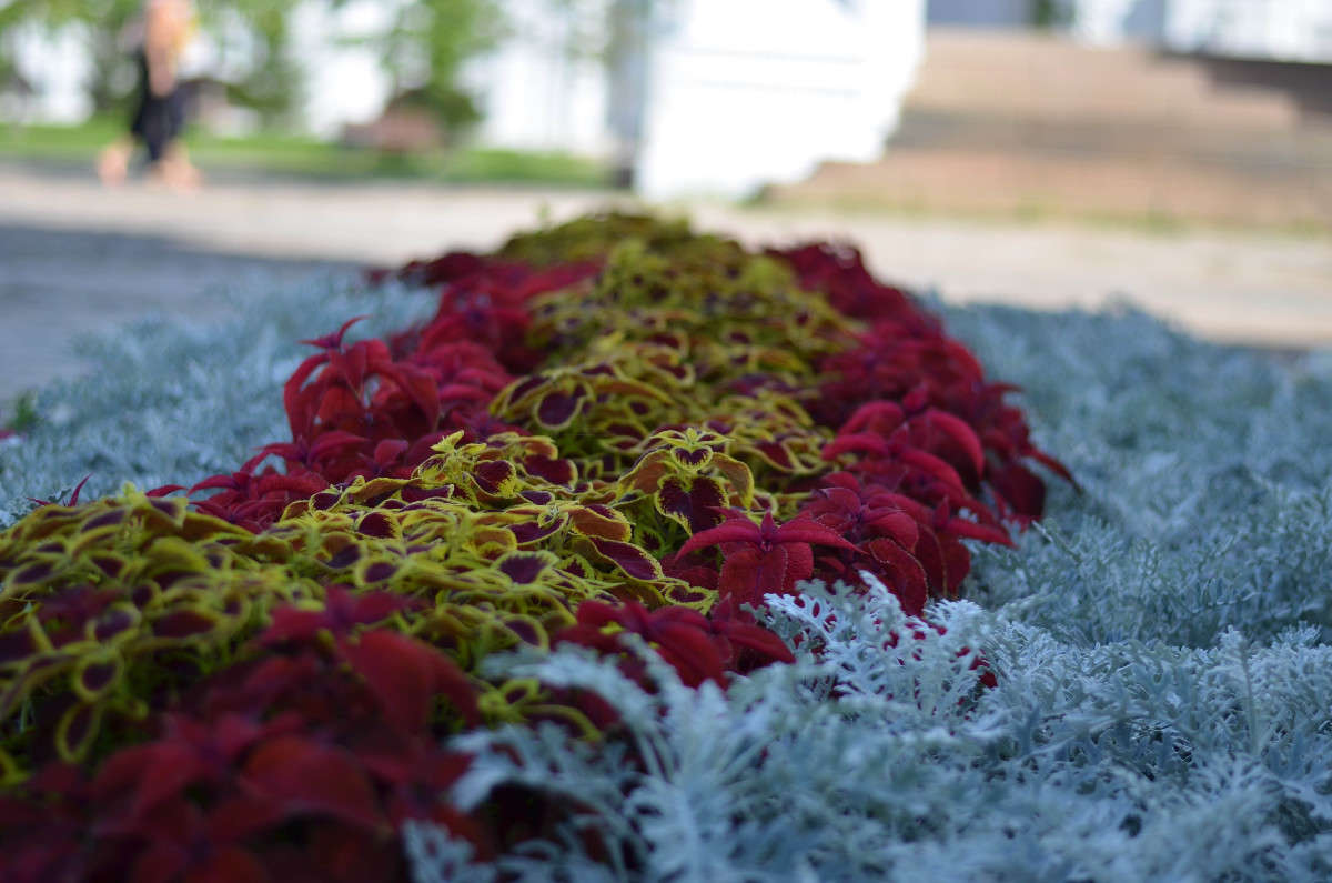 ... ����� ���� ���������� �� PhotoGeek.ru #������ ��� �������