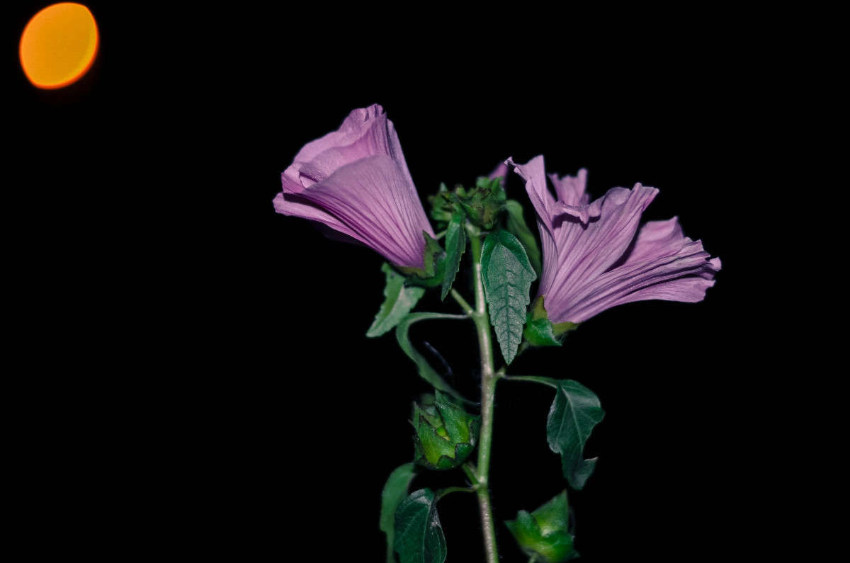 ... ����� ���� ���������� �� PhotoGeek.ru #���������