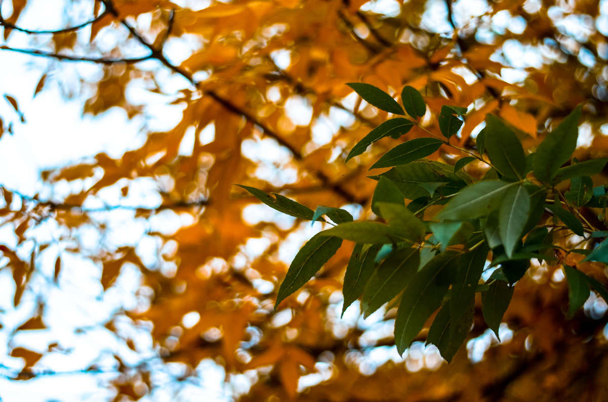 ��������� ����������� � ����... ����� ���� ���������� �� PhotoGeek.ru #������ ��� �������