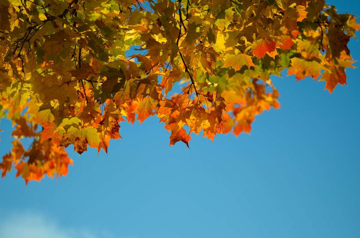 ... ����� ���� ���������� �� PhotoGeek.ru #������ ��� �������