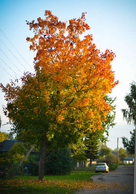 ... ����� ���� ���������� �� PhotoGeek.ru #������ ��� �������