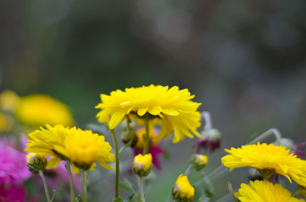 ... ����� ���� ���������� �� PhotoGeek.ru #������ ��� �������