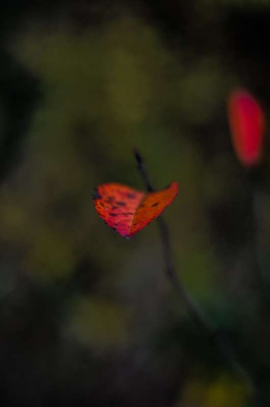 ... ����� ���� ���������� �� PhotoGeek.ru #������ ��� �������