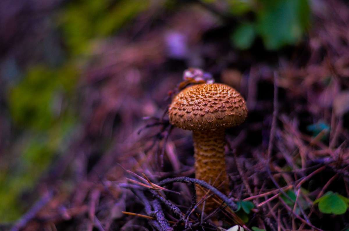 ... ����� ���� ���������� �� PhotoGeek.ru #������ ��� �������