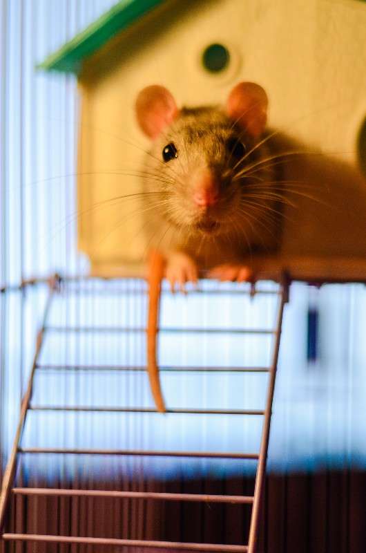 ... ����� ���� ���������� �� PhotoGeek.ru #�������� ��� #�������� ���