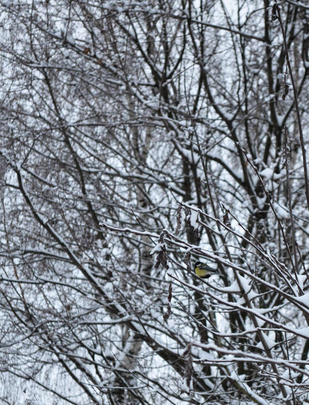 ... ����� ���� ���������� �� PhotoGeek.ru #�������� ��� #������ ��� �������