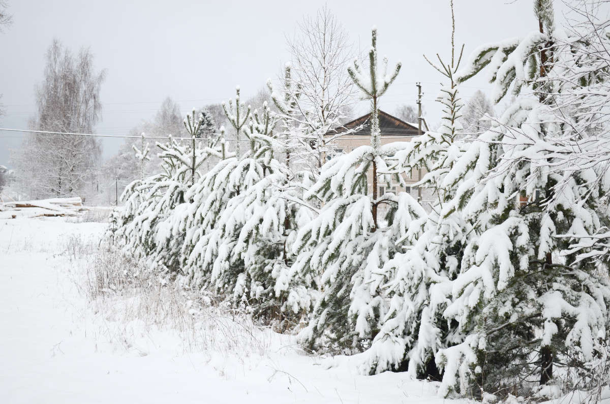 ... ����� ���� ���������� �� PhotoGeek.ru #������ ��� �������