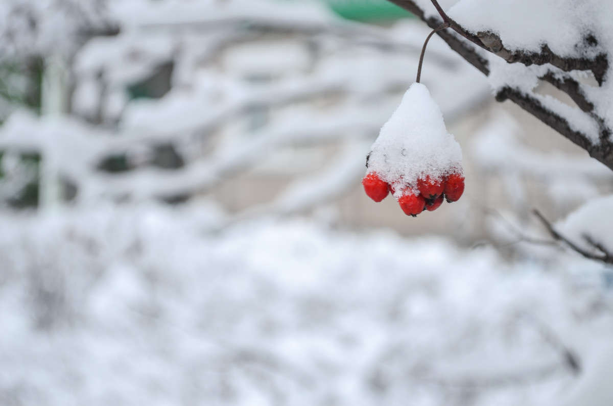 ... ����� ���� ���������� �� PhotoGeek.ru #�����