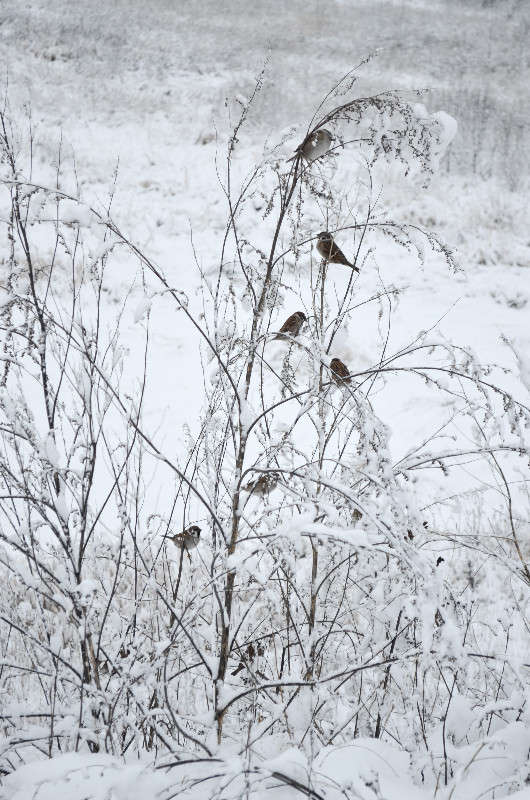 ... ����� ���� ���������� �� PhotoGeek.ru #������ ��� �������