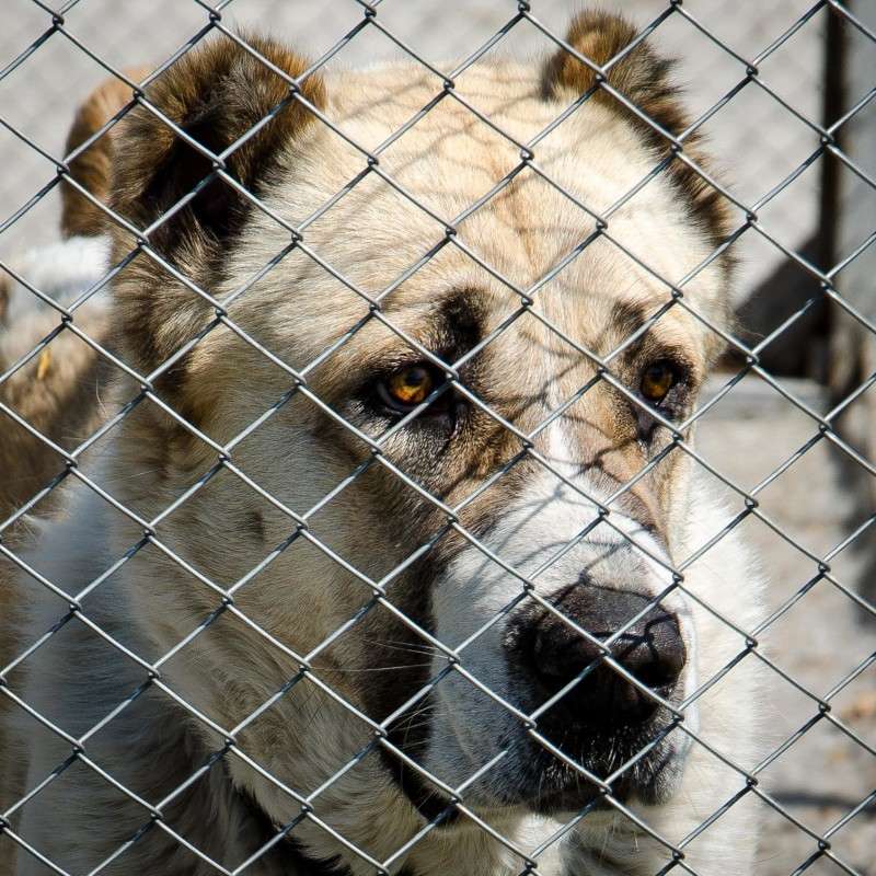 ����� ��� ������ ����� ���� ������� �� PhotoGeek.ru #�������� ���