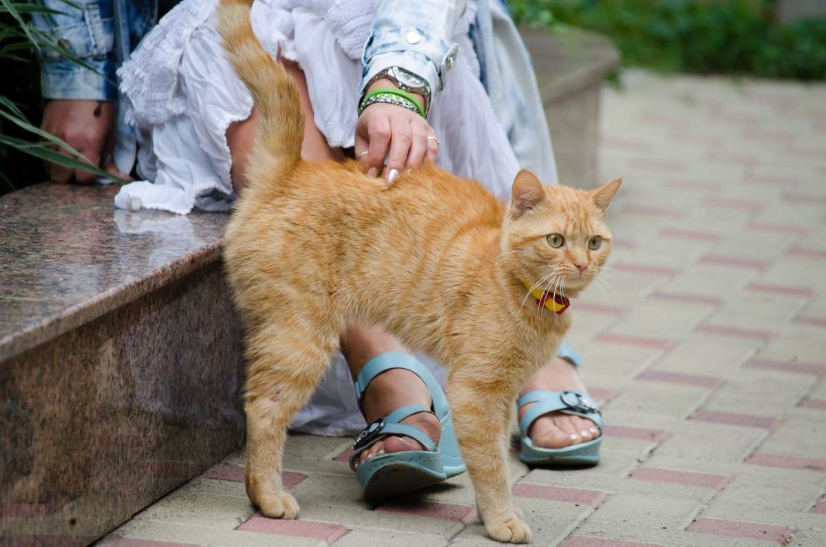 ����������� ����� ���������� ����� ���� ������� �� PhotoGeek.ru #�������� ���