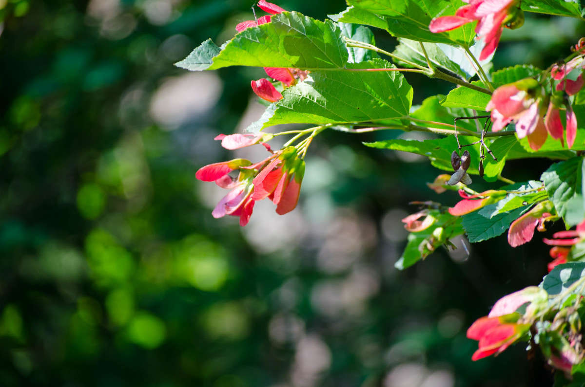 ������� �������� ����� ���� ������� �� PhotoGeek.ru #������ ��� �������