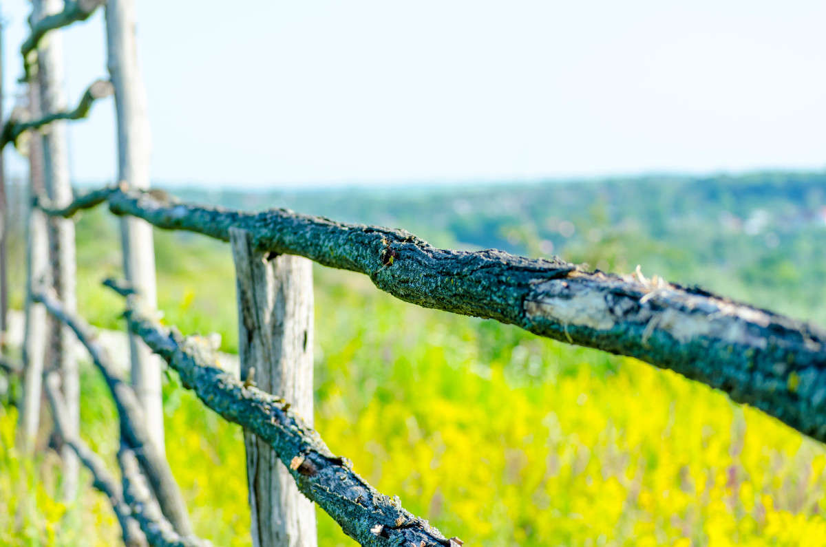 ������� ����� ���� ������� �� PhotoGeek.ru #������ ��� �������