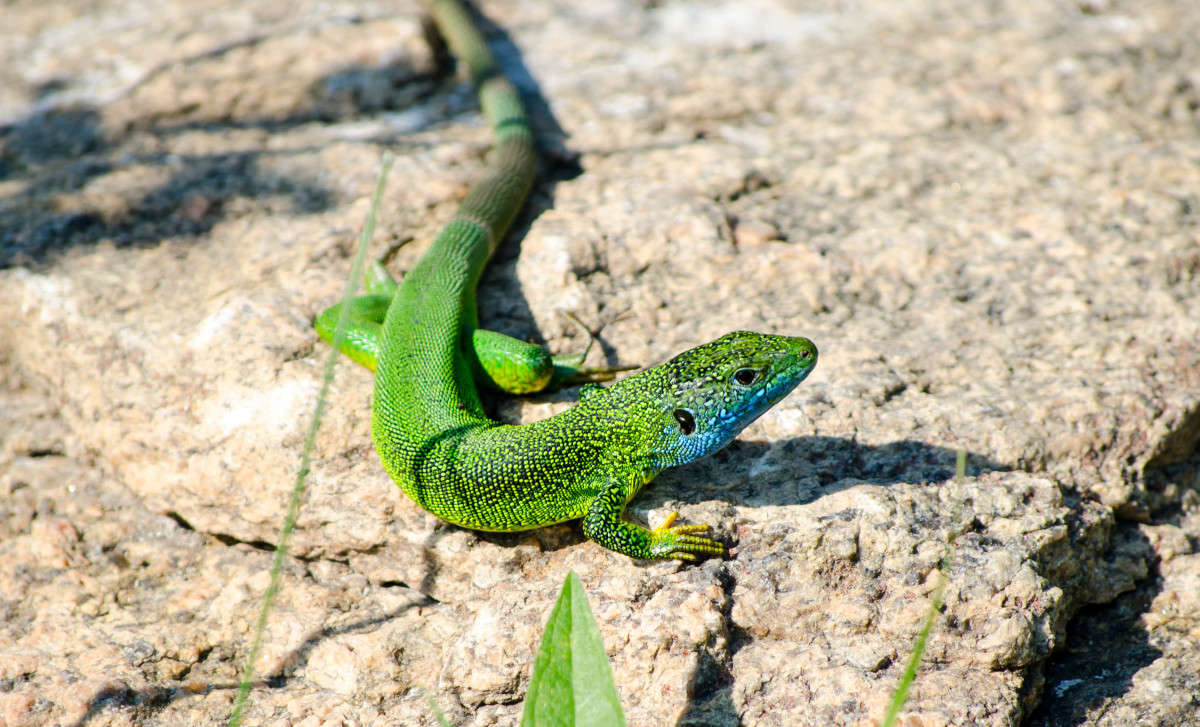 ��������� ���������� ����� ���� ������� �� PhotoGeek.ru #������ ��� �������