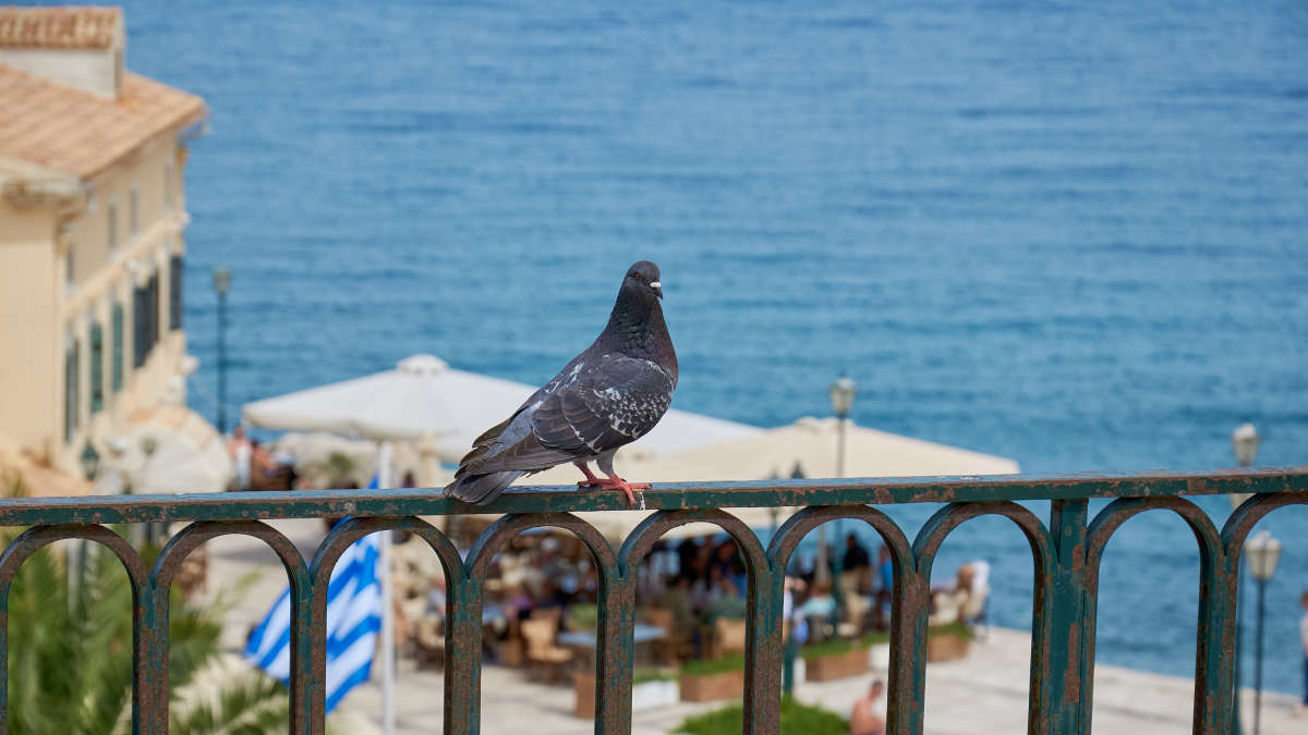 �. ����� ��������� ������� ����� ���� ������� �� PhotoGeek.ru #����� #�������� ��� #������ ��� �������