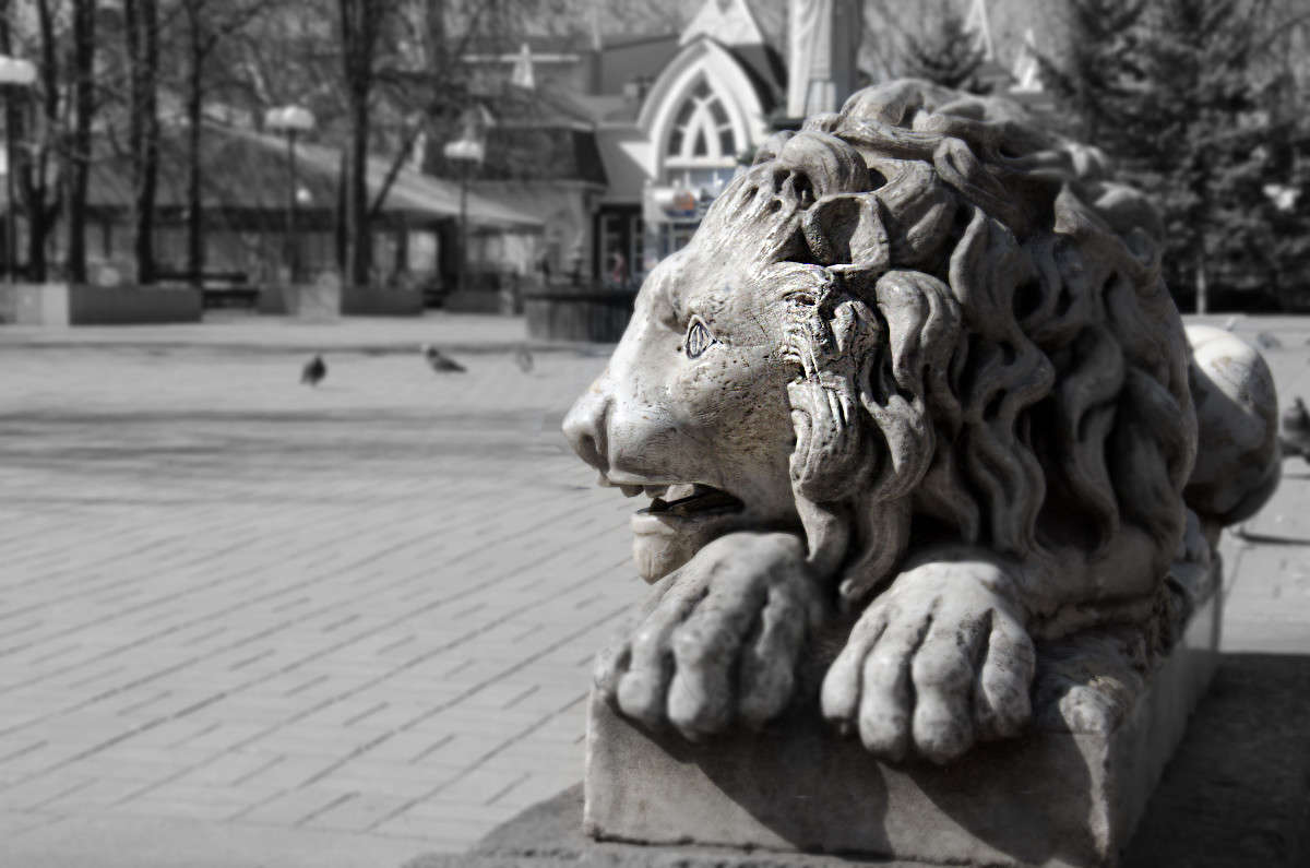 �������� ��� ����� ���� ������� �� PhotoGeek.ru #����� #�����������