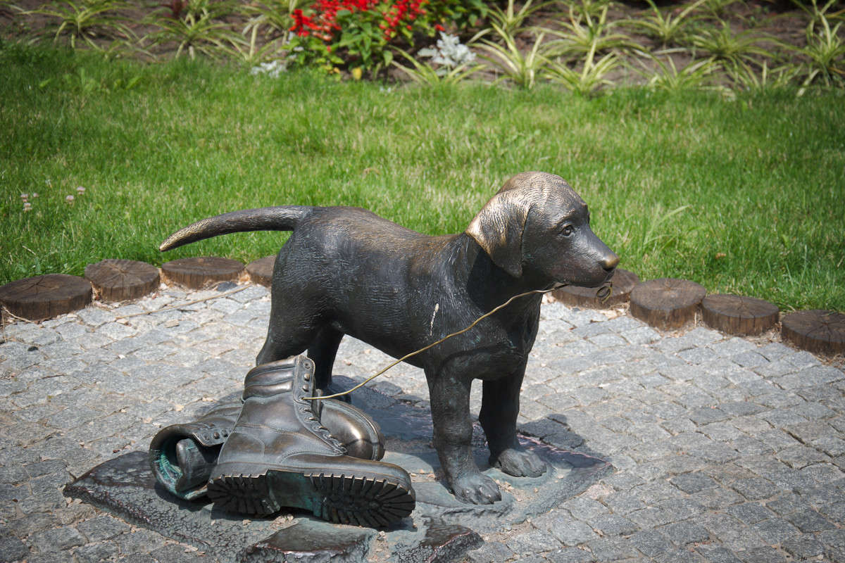 ������ ����� ���� ������� �� PhotoGeek.ru #�����������