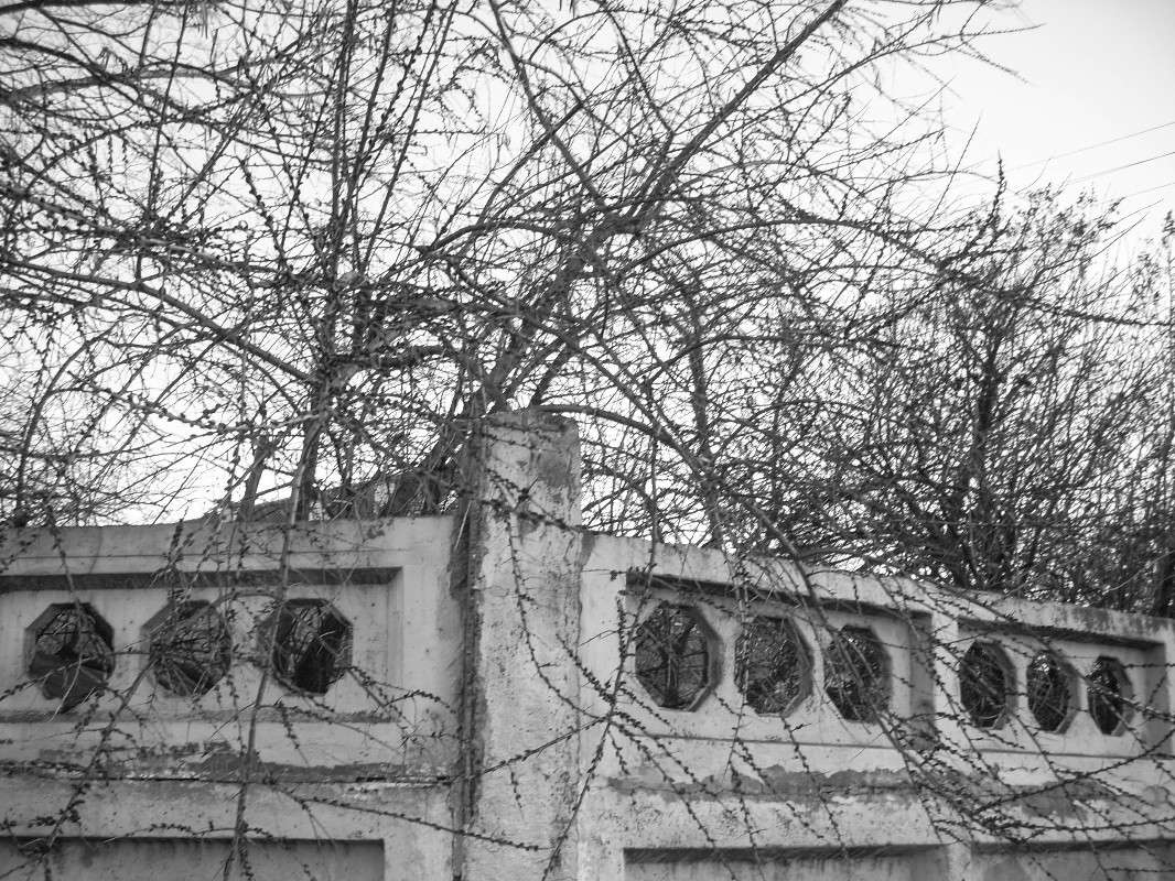 ... ����� ����� ������� �� PhotoGeek.ru #�����