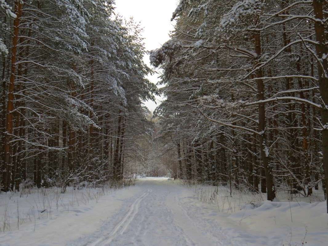 �������� ���. ����� �������� ������ �� PhotoGeek.ru #������ ��� ������� #����� �������������� #��������