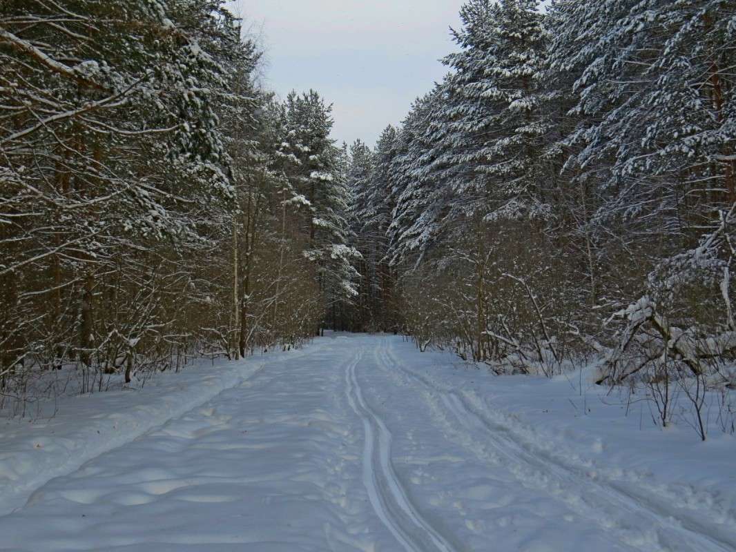 ������������ �����. ����� �������� ������ �� PhotoGeek.ru #������ ��� ������� #����� �������������� #��������