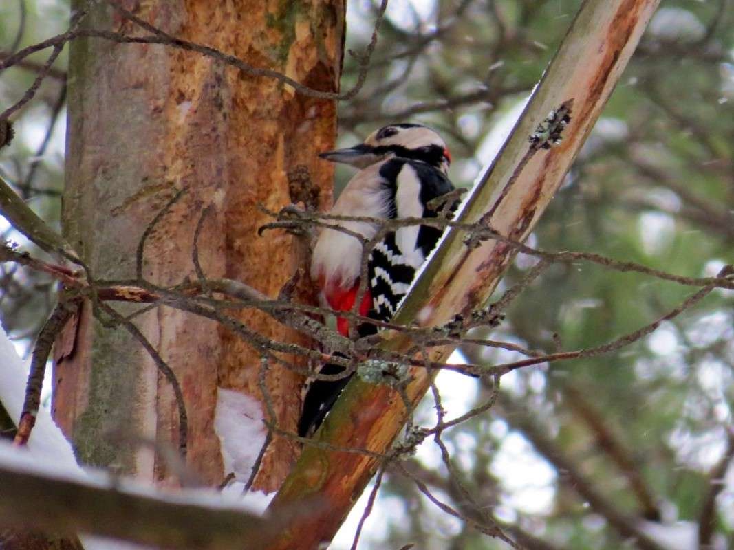 ϸ����� ����� ����� �������� ������ �� PhotoGeek.ru #�������� ��� #������ ��� ������� #����� ��� ��� ���������