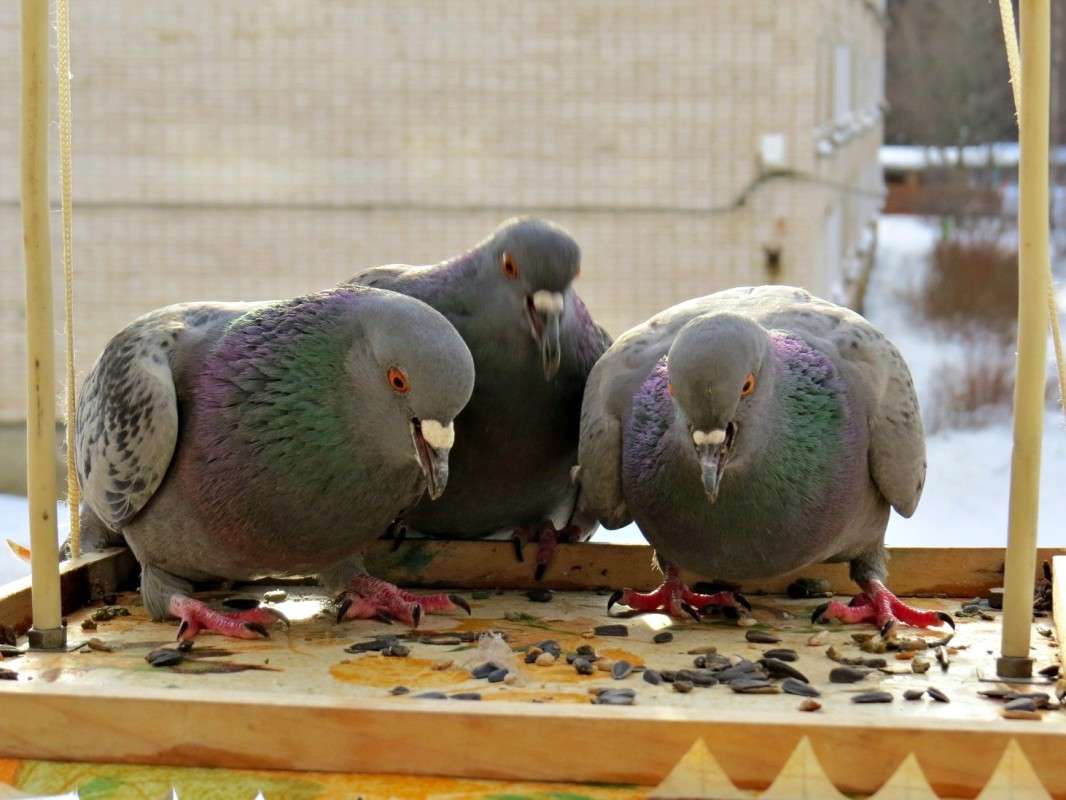 ��� �������� ����� �������� ������ �� PhotoGeek.ru #�������� ��� #������ ��� �������