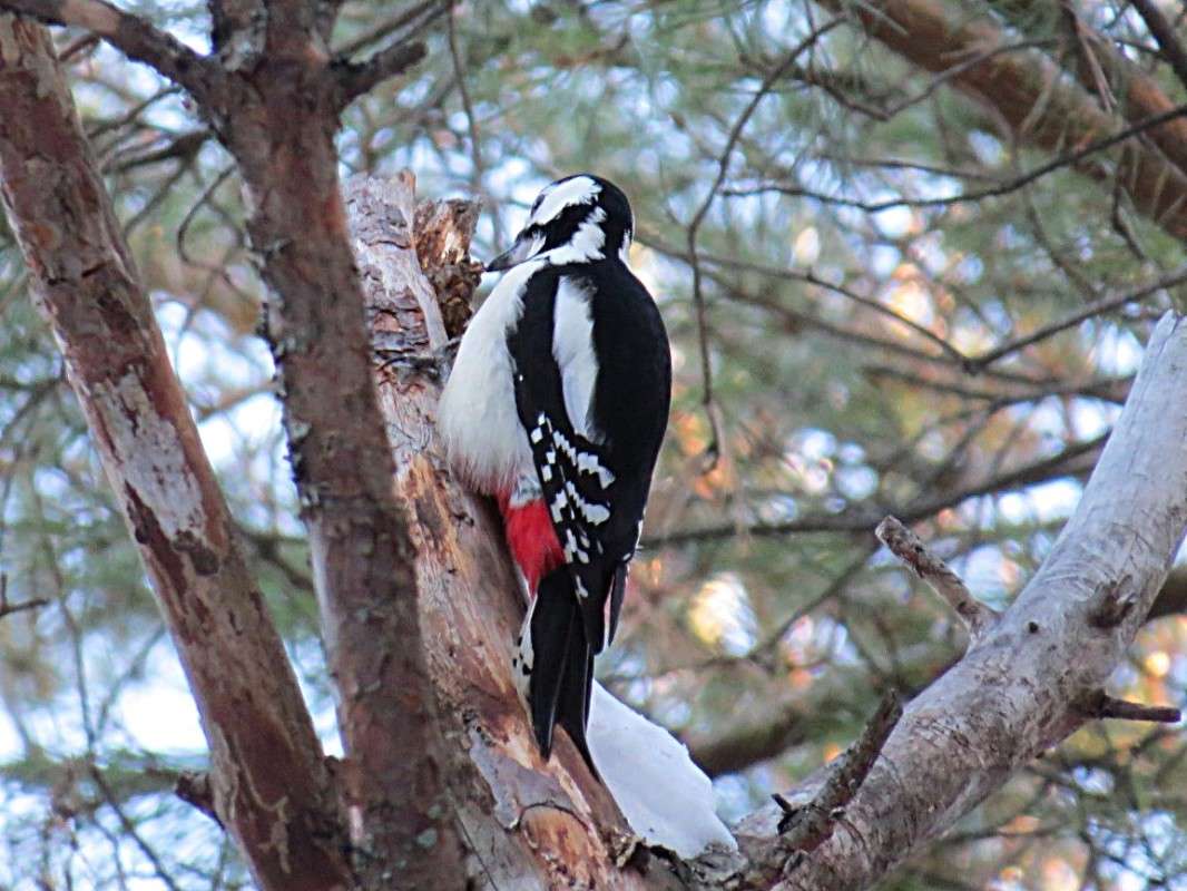 ϸ����� ����� ����� �������� ������ �� PhotoGeek.ru #�������� ��� #����� ����� #����� ��� ��� ���������