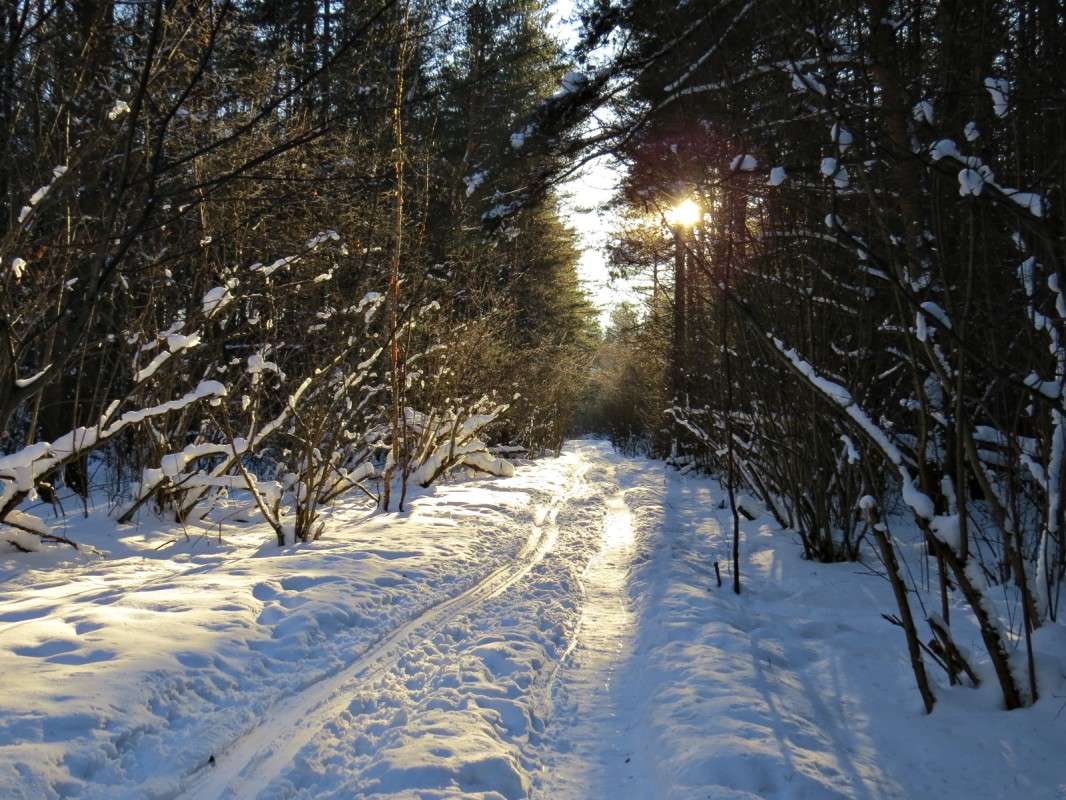 ������ �������� ����� �������� ������ �� PhotoGeek.ru #������ ��� ������� #��� ����