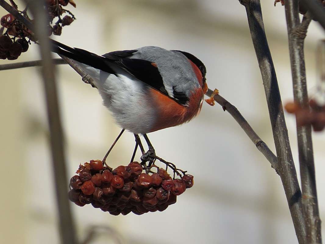 �������. ����� �������� ������ �� PhotoGeek.ru #�������� ��� #����� ����� #����� ��� ��� ���������