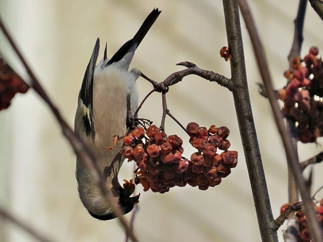 ����� �������! ����� �������� ������ �� PhotoGeek.ru #�������� ��� #����� ����� #����� ��� ��� ��������� #�������