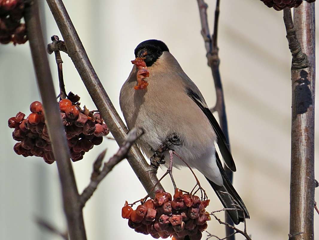 ������! ����� �������� ������ �� PhotoGeek.ru #�������� ��� #����� ����� #����� ��� ��� ��������� #�������