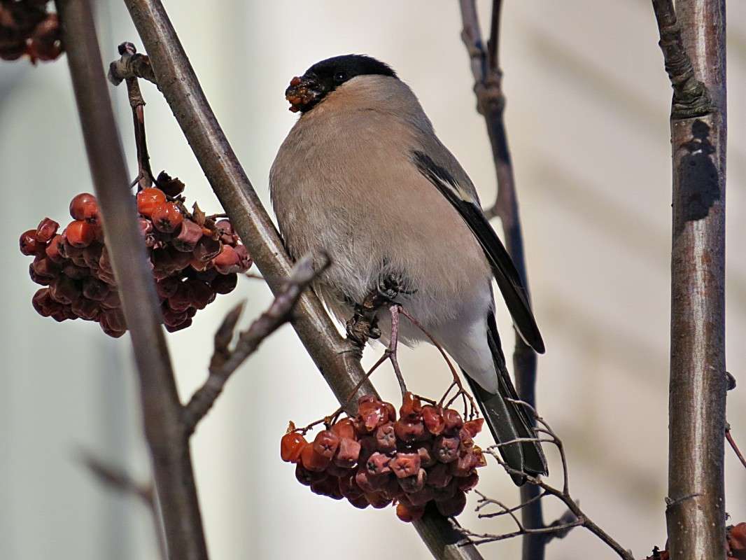 ���� ��������� ������! ����� �������� ������ �� PhotoGeek.ru #�������� ��� #����� ����� #����� ��� ��� ���������