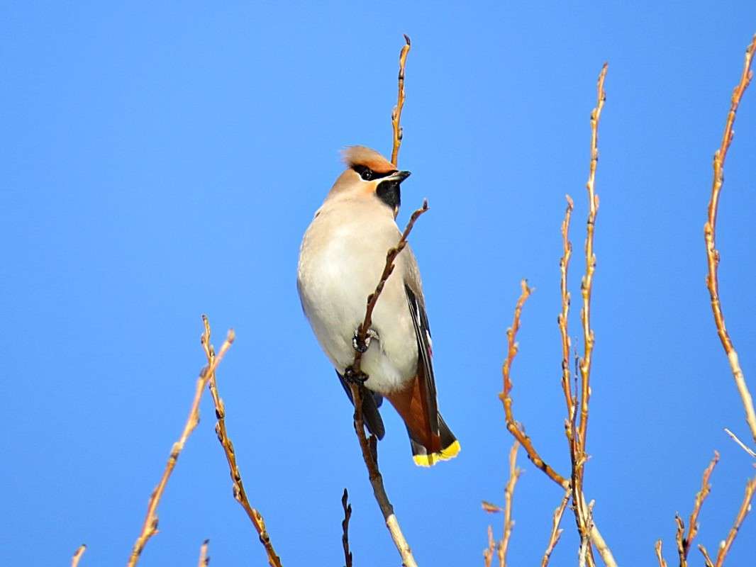 ����������. ����� �������� ������ �� PhotoGeek.ru #�������� ��� #����� ����� #����� ��� ��� ��������� #����������