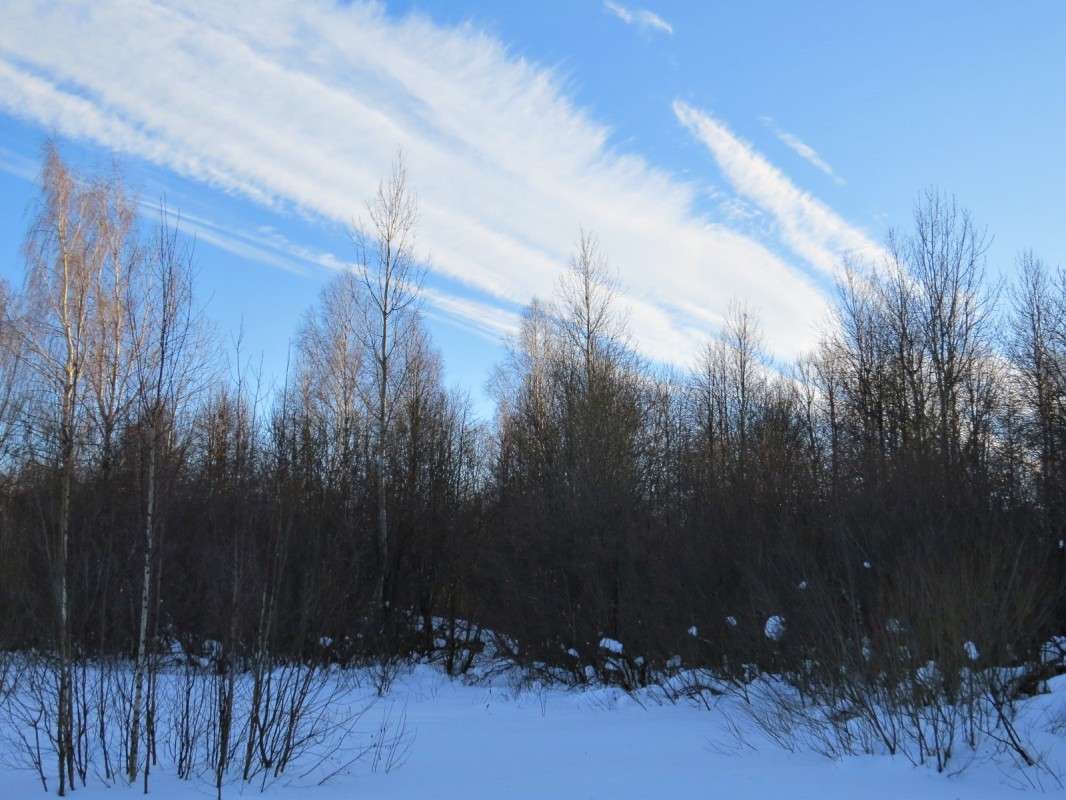 �������� ���� ����� �������� ������ �� PhotoGeek.ru #������ ��� ������� #������. ���� #��������