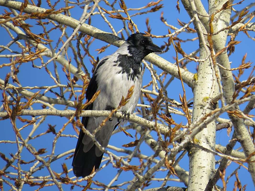 ������ �� ������. ����� �������� ������ �� PhotoGeek.ru #�������� ��� #������. #����� ��� ��� ���������