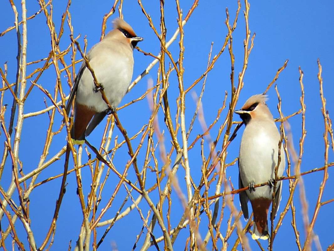 ����������.�������� ��������. ����� �������� ������ �� PhotoGeek.ru #�������� ��� #����� ����� #����� ��� ��� ���������