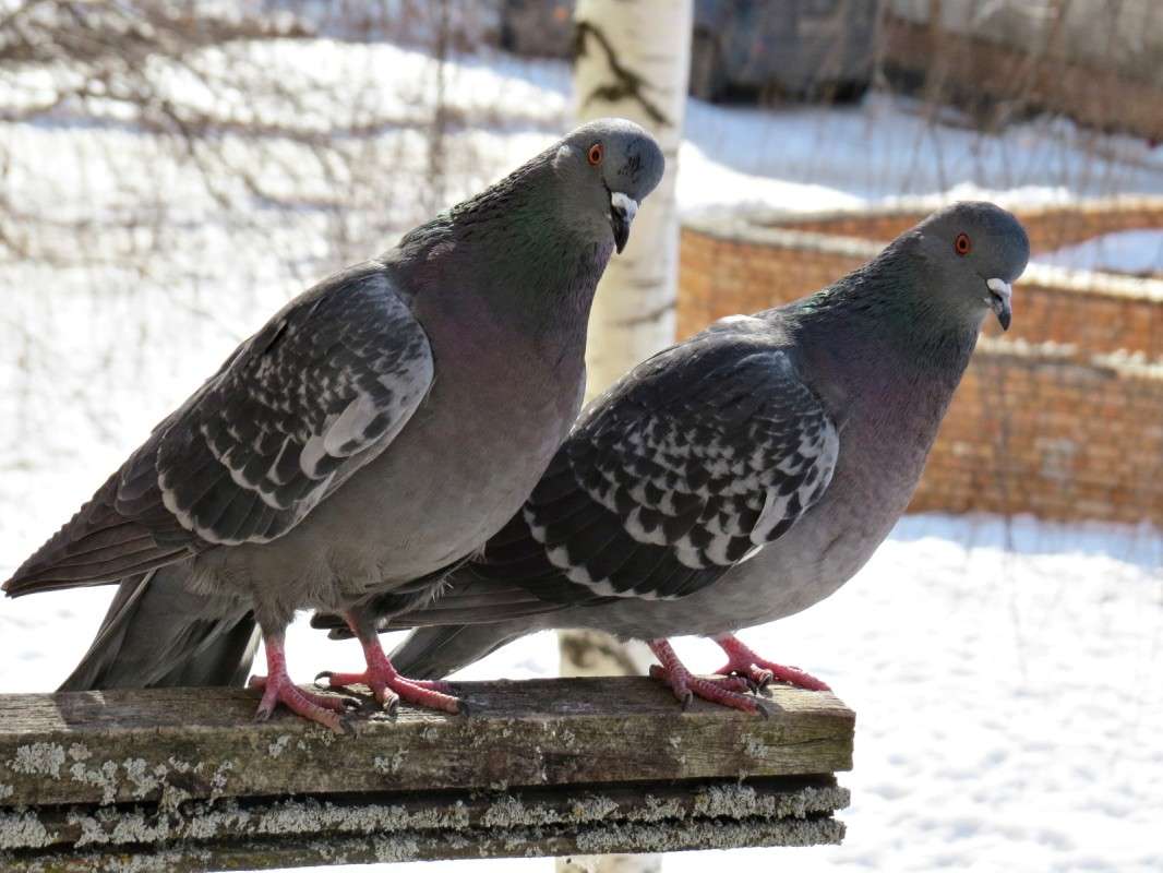 ����������... ����� �������� ������ �� PhotoGeek.ru #�������� ��� #����� ��� ��� ���������