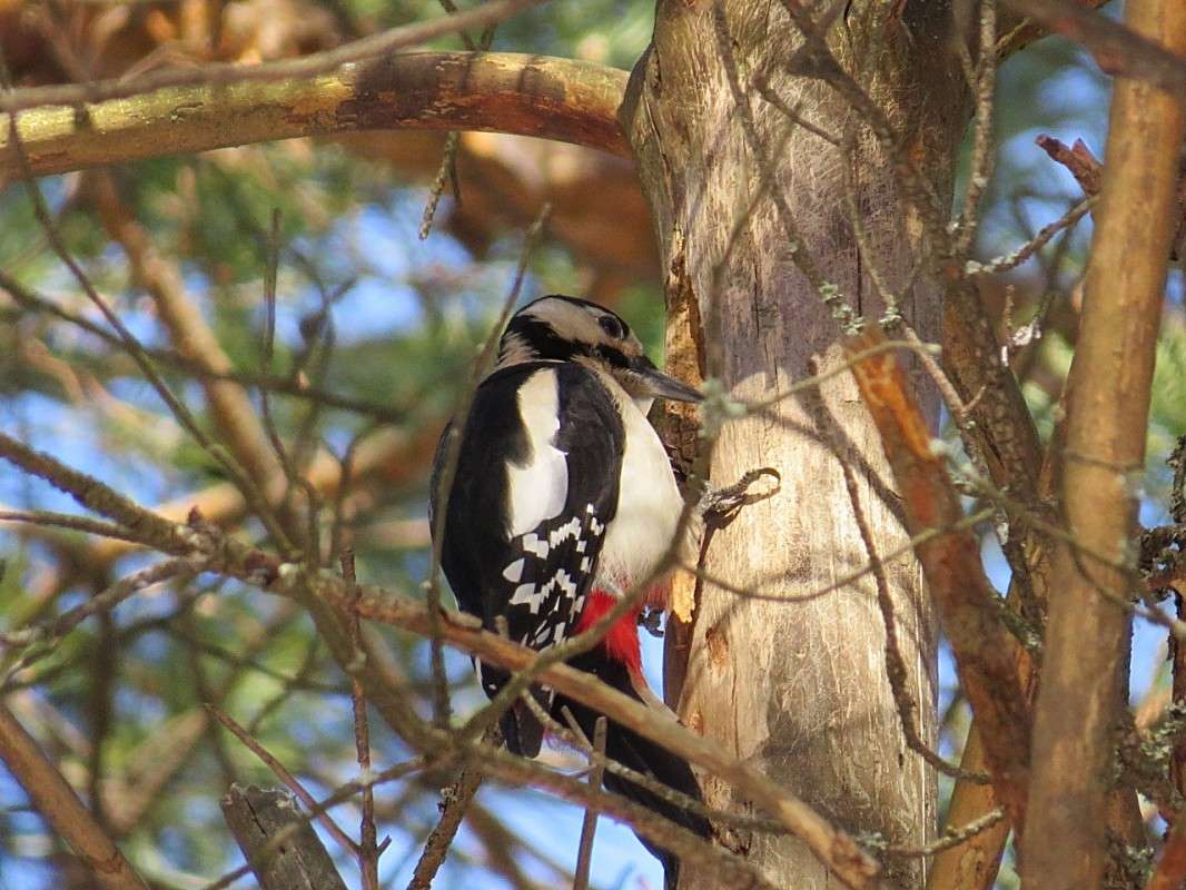ϸ����� ����� �� ������� ����� �������� ������ �� PhotoGeek.ru #�������� ��� #����� ����� #����� ��� ��� ���������