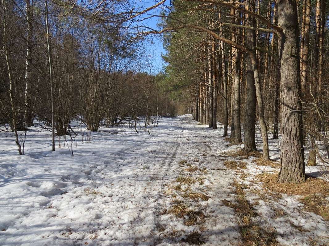 ����� ������. ����� �������� ������ �� PhotoGeek.ru #������ ��� ������� #����� #������