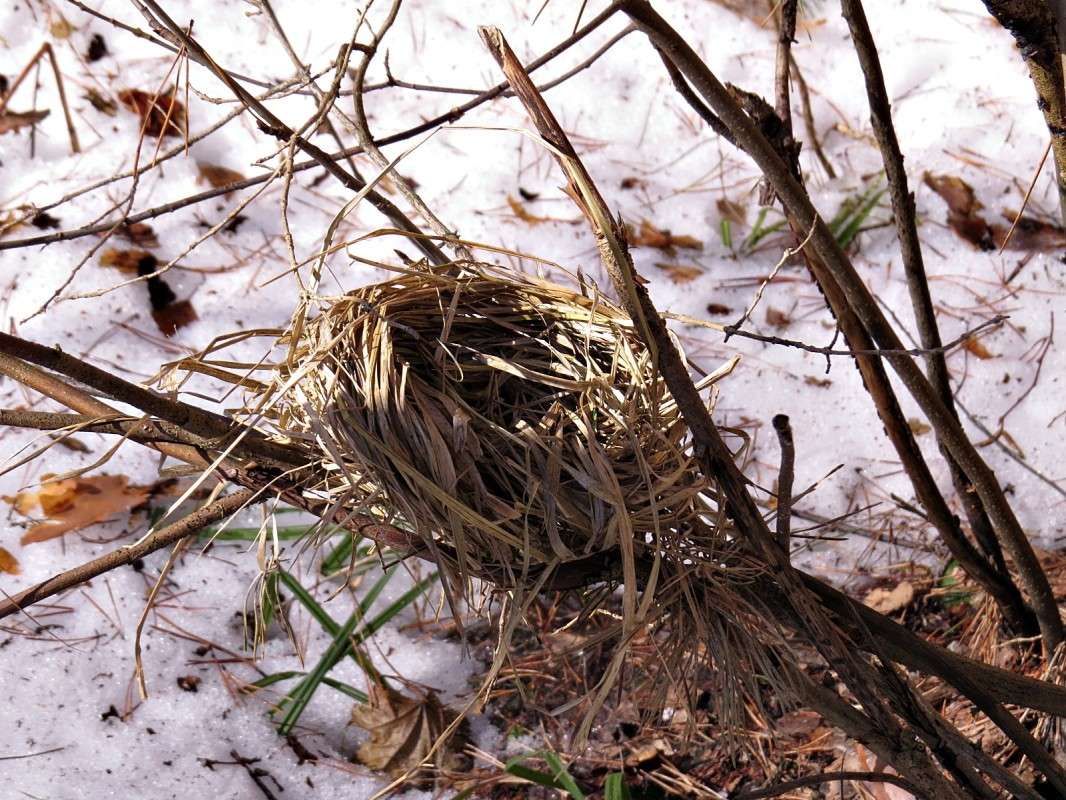 ������������ ���������. ����� �������� ������ �� PhotoGeek.ru #������ ��� ������� #��������� #������