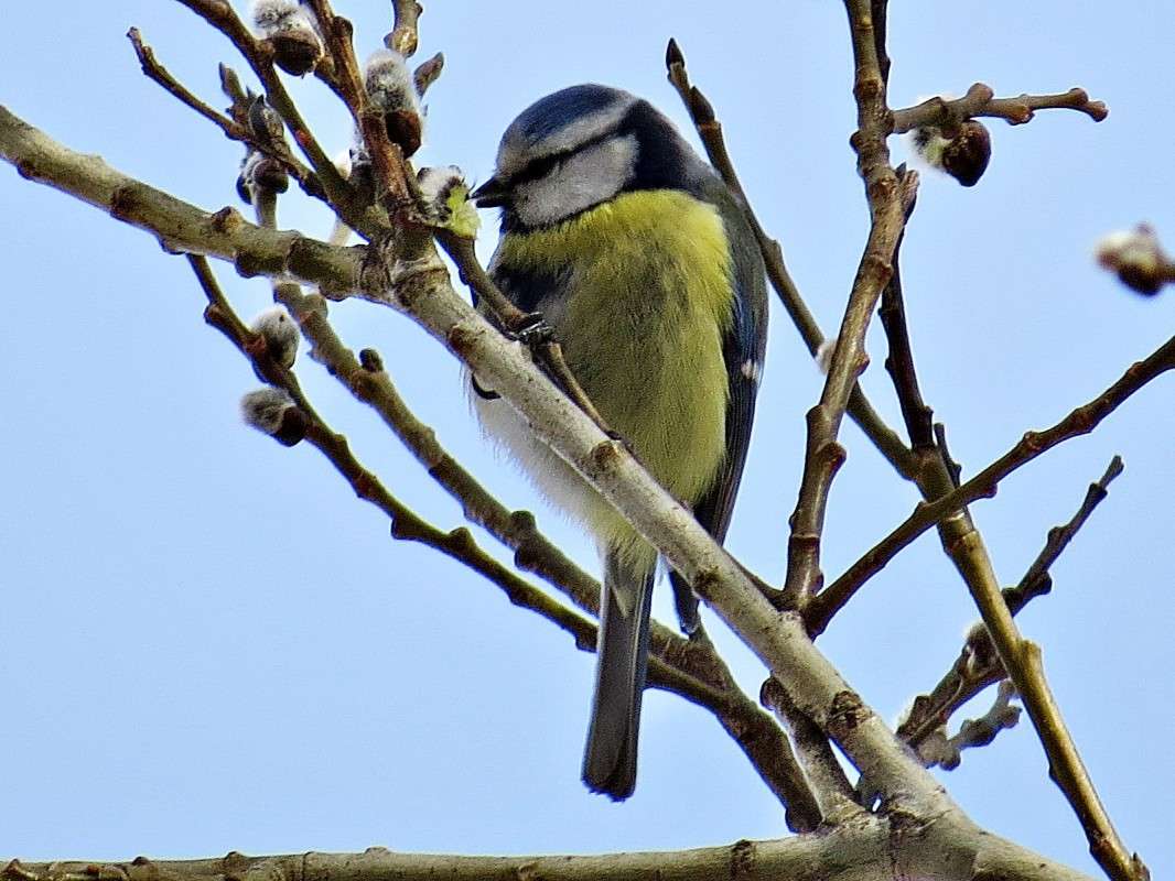 ��������� ����� �������� ������ �� PhotoGeek.ru #�������� ��� #�������� #����� ��� ��� ���������