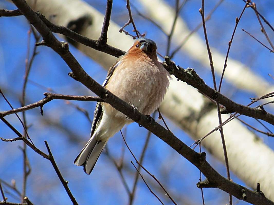 ������ ����� �������� ������ �� PhotoGeek.ru #�������� ��� #����� ��� ��� ���������