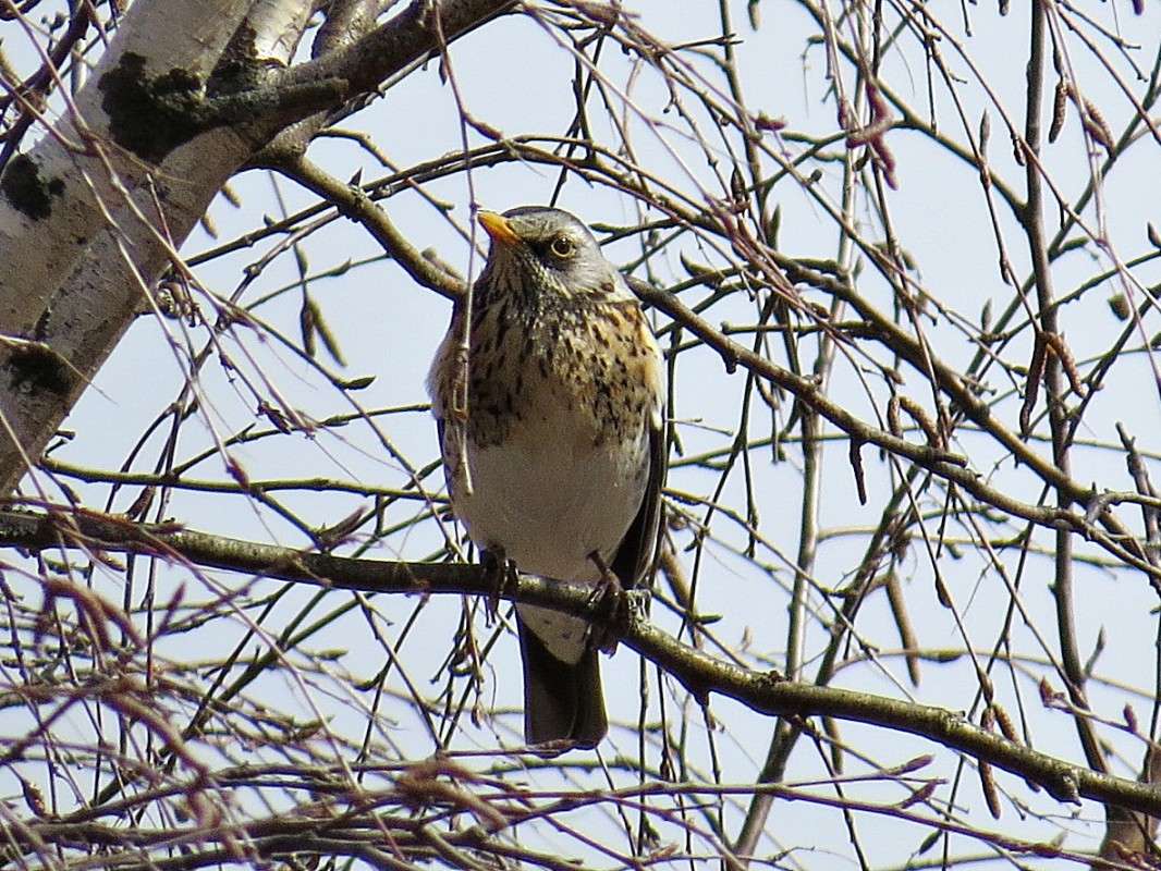 ����� �������� ����� �������� ������ �� PhotoGeek.ru #�������� ��� #����� ��� ��� ���������