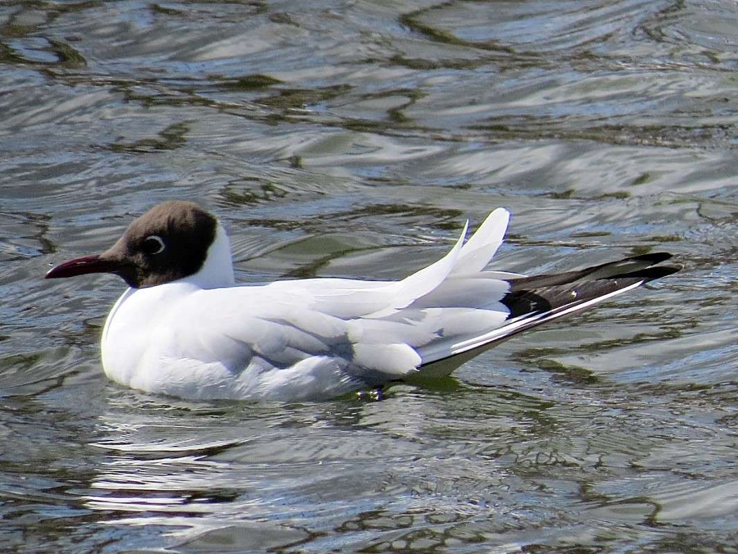 ����� ������ ����� �������� ������ �� PhotoGeek.ru #�������� ��� #����� ��� ��� ���������