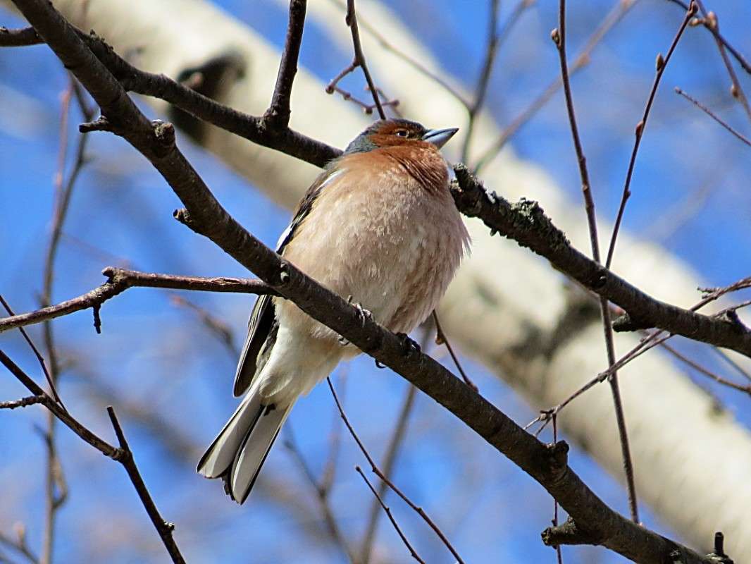 ������ ����� �������� ������ �� PhotoGeek.ru #�������� ��� #������ ��� ������� #����� ��� ��� ���������