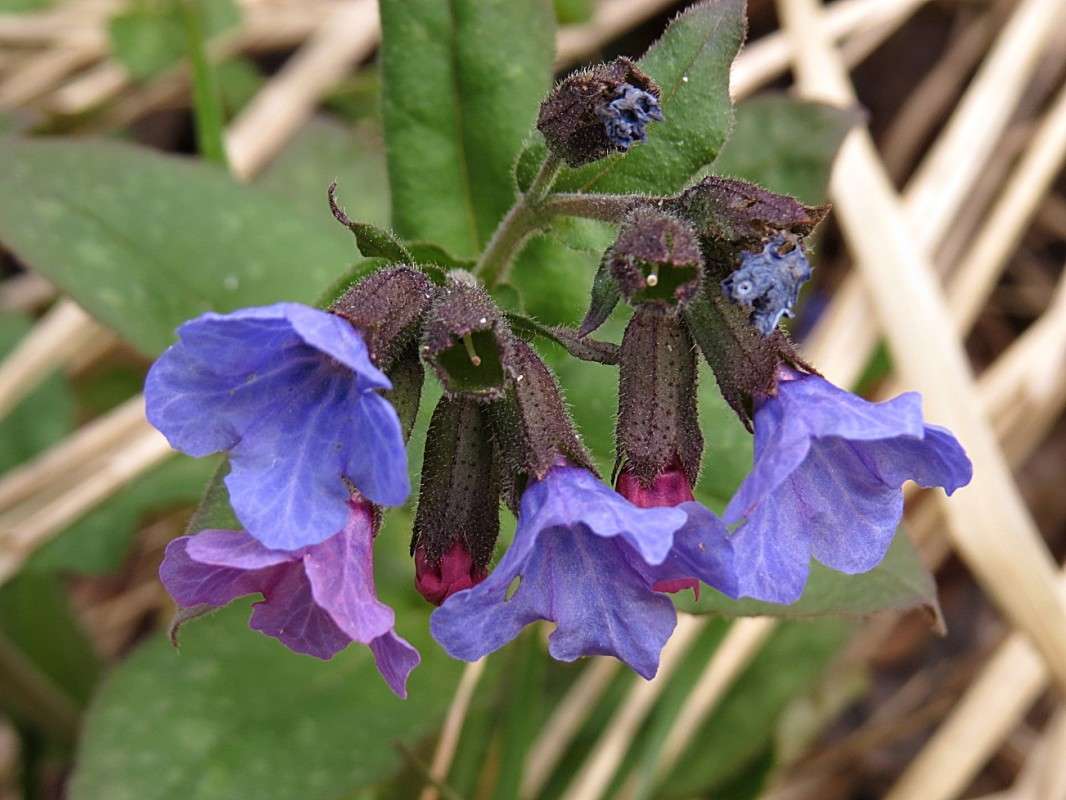 �������� ����� �������� ������ �� PhotoGeek.ru #����� #������ ��� ������� #����� ��������������